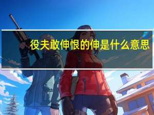 役夫敢伸恨的伸是什么意思
