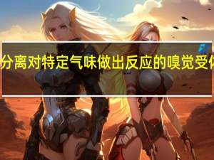彻底分离对特定气味做出反应的嗅觉受体的新方法