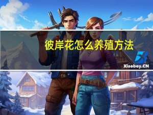 彼岸花怎么养殖方法