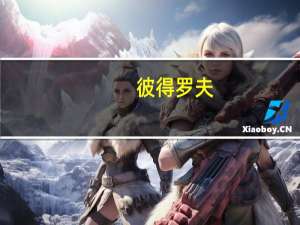 彼得罗夫（关于彼得罗夫的介绍）