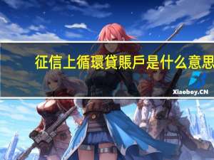 征信上循環貸賬戶是什么意思
