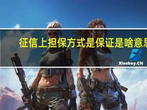 征信上担保方式是保证是啥意思