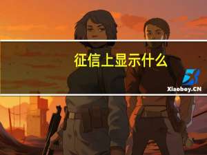 征信上显示什么