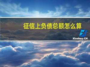征信上负债总额怎么算