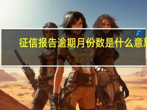 征信报告逾期月份数是什么意思