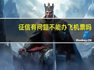 征信有问题不能办飞机票吗