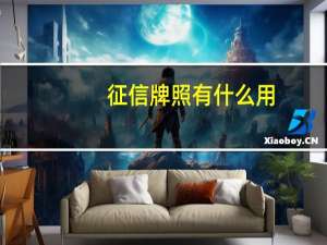 征信牌照有什么用