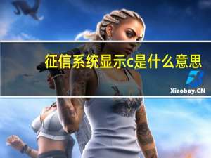 征信系统显示c是什么意思