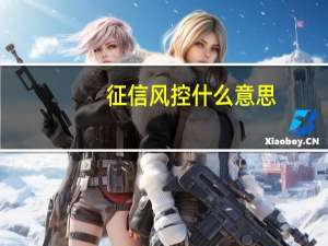 征信风控什么意思