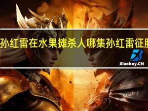 征服孙红雷在水果摊杀人哪集 孙红雷征服经典片段
