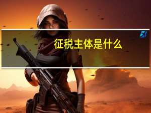 征税主体是什么