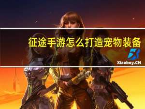 征途手游怎么打造宠物装备