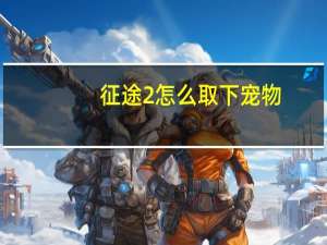 征途2怎么取下宠物