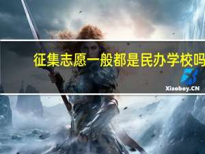征集志愿一般都是民办学校吗