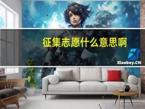 征集志愿什么意思啊