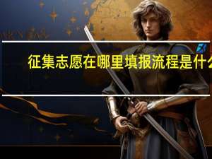 征集志愿在哪里填报流程是什么