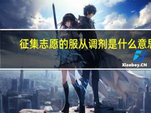 征集志愿的服从调剂是什么意思