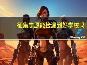 征集志愿能捡漏到好学校吗