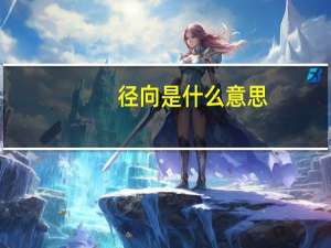 径向是什么意思