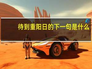 待到重阳日的下一句是什么