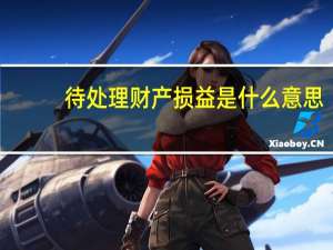待处理财产损益是什么意思
