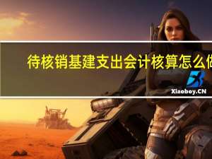 待核销基建支出会计核算怎么做