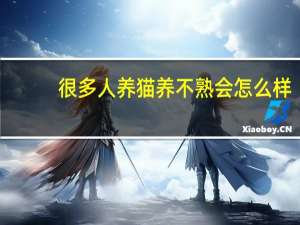 很多人养猫养不熟会怎么样