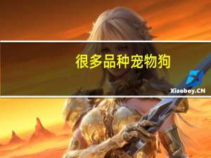 很多品种宠物狗