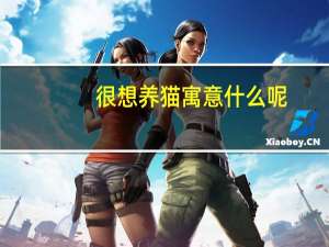 很想养猫寓意什么呢