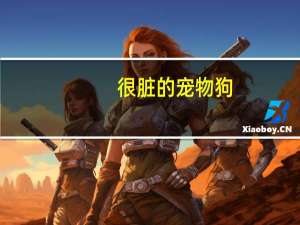 很脏的宠物狗