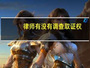 律师有没有调查取证权