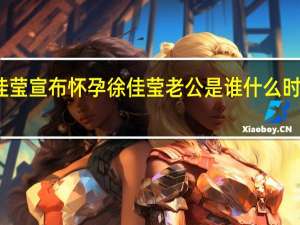 徐佳莹宣布怀孕 徐佳莹老公是谁什么时候结的婚