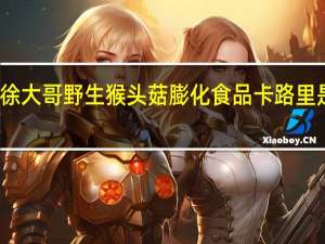 徐大哥 野生猴头菇膨化食品卡路里是多少