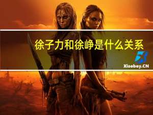 徐子力和徐峥是什么关系（徐子力）