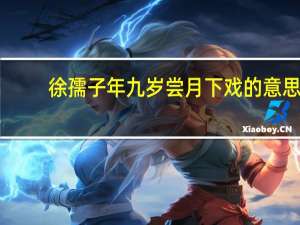 徐孺子年九岁尝月下戏的意思（徐孺子年九岁）