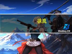 徐岚-梅高 中国公司副总裁简介