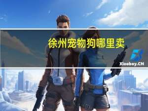 徐州宠物狗哪里卖