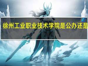 徐州工业职业技术学院是公办还是民办