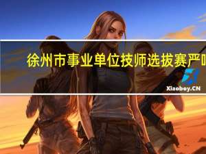 徐州市事业单位技师选拔赛严吗