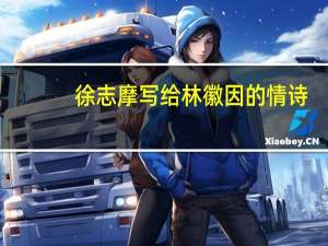 徐志摩写给林徽因的情诗（高分急求  徐志摩写给林徽因的诗和林徽因写给徐志摩的诗）