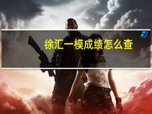 徐汇一模成绩怎么查