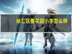 徐汇区樱花园小学怎么样