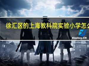 徐汇区的上海教科院实验小学怎么样