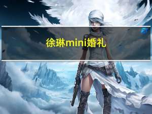 徐琳mini婚礼（徐琳mini）