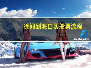 徐闻到海口买船票流程