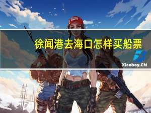 徐闻港去海口怎样买船票