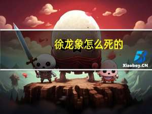 徐龙象怎么死的