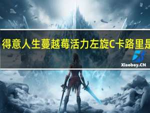 得意人生 蔓越莓活力左旋C卡路里是多少