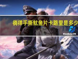 徜徉 手撕鱿鱼片卡路里是多少