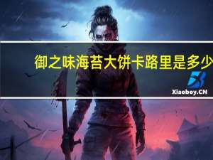 御之味 海苔大饼卡路里是多少